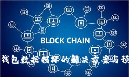 比特币钱包数据损坏的解决方案与预防措施