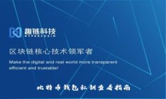 比特币钱包私钥查看指南