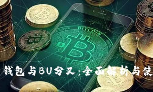 比特币钱包与BU分叉：全面解析与使用指南