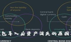 imToken钱包导入后资产消失的原因及解决方案