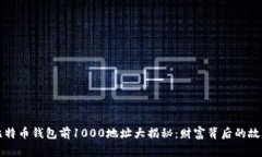 比特币钱包前1000地址大揭秘：财富背后的故事