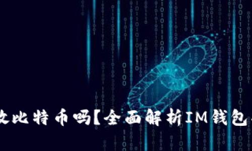IM钱包可以存放比特币吗？全面解析IM钱包功能及其优缺点