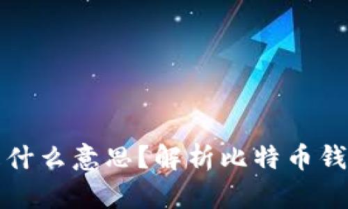 比特币钱包存的是什么意思？解析比特币钱包的功能与安全性