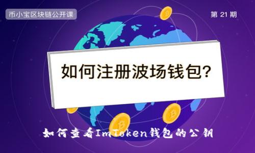 如何查看ImToken钱包的公钥
